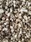 Shiitake Dehydrated Mushrooms Granules 10x10mm Size With Natural Taste
