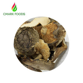 Gourmet Food Dried Oyster Mushrooms Grade B Dried Wild Mushrooms