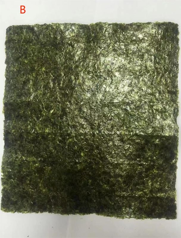 Pieczone wodorosty Algi Yaki Sushi Nori Gold Green Restauracja kuchni azjatyckiej