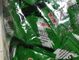 Horseradish Pure Wasabi Powder , Sushi Seasoning Powder HACCP Certification