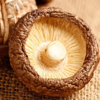 Wysoko białkowe suche grzyby shiitake z smaczem grzyba i jakością tekstury