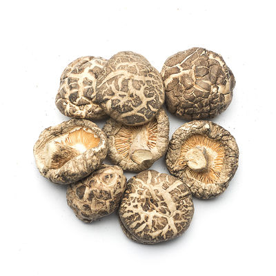 Różnorodne suszone płaskie grzyby shiitake do gotowania
