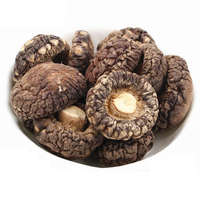 Brązowe odwodnione płaskie grzyby shiitake z intensywnym aromatem grzybowym